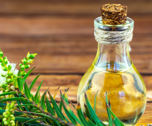 Tea tree oil