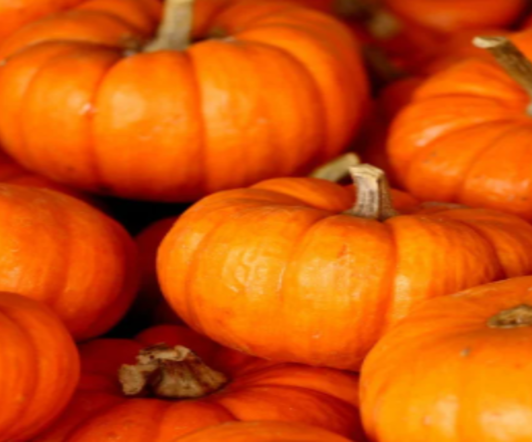 Zucca e bellezza: 3 ricette fai-da-te per la cura della pelle