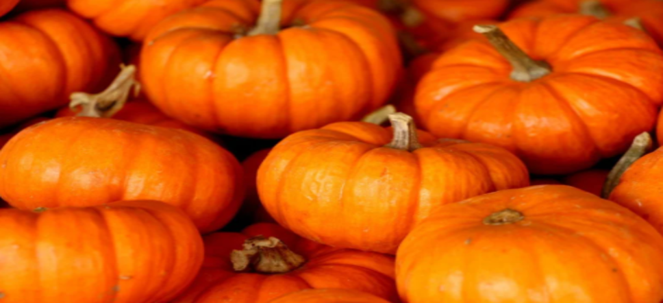 Zucca e bellezza: 3 ricette fai-da-te per la cura della pelle