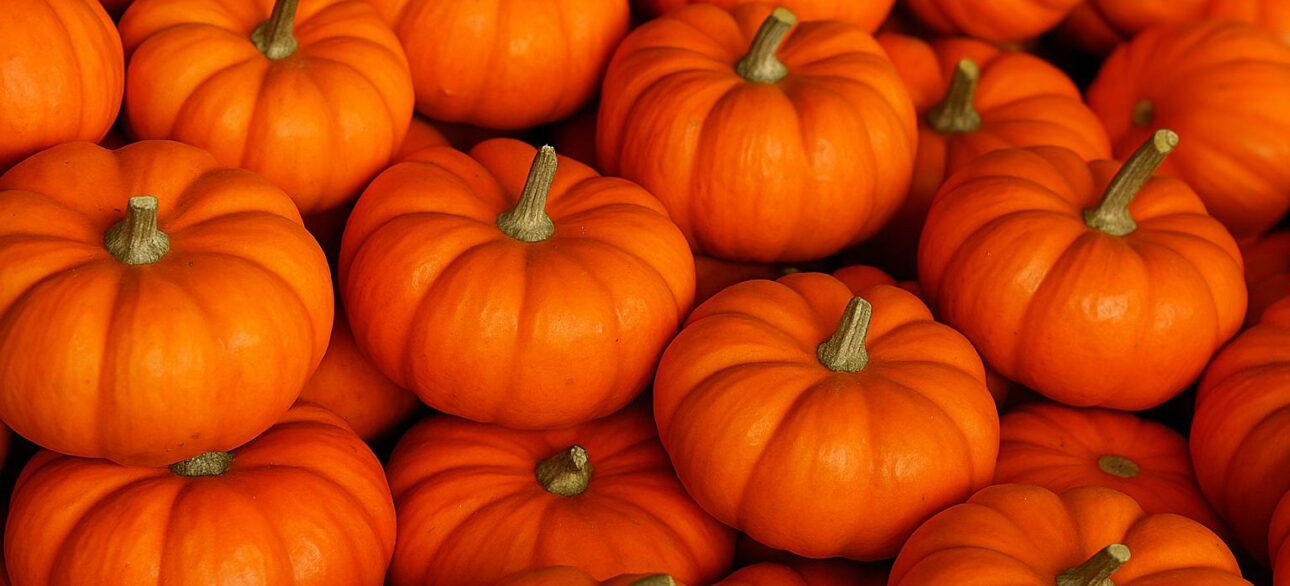 Zucca e bellezza: 3 ricette fai-da-te per la cura della pelle