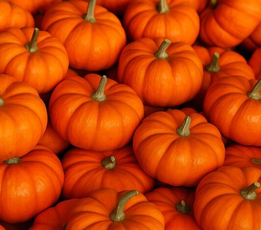 Zucca e bellezza: 3 ricette fai-da-te per la cura della pelle